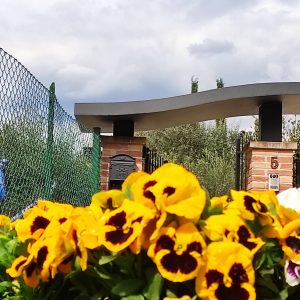 Offerte del Mese